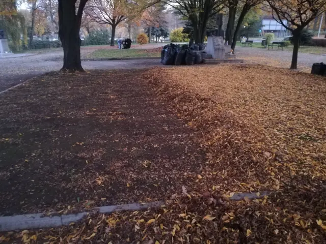 06-07.11.2018 sprzątanie Alei Pamięci! — zdjęcie 4